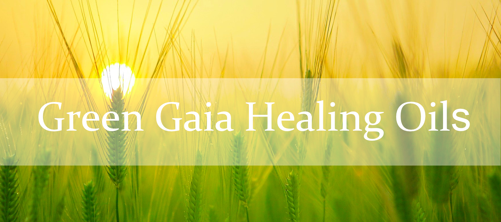 Slideshowbild Green Gaia Healing Oils